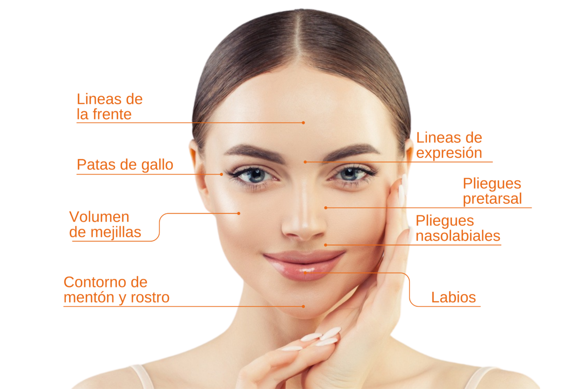 HERMOSA | THE ORIGINAL
